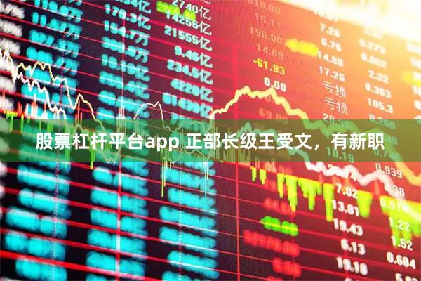 股票杠杆平台app 正部长级王受文，有新职